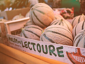 L’étal de l’association pour la promotion des melons de Lectoure - Agrandir l'image (fenêtre modale)