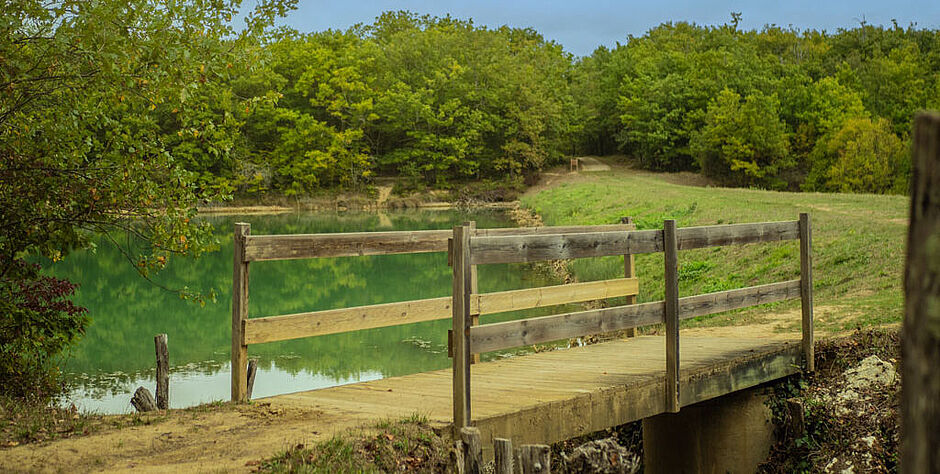 Le Département souhaite réaliser des aménagements pour améliorer l'accueil du public, comme ici dans la forêt de Sérilhac - Agrandir l'image (fenêtre modale)