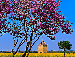 Pigeonnier de Ségoufielle - Agrandir l'image (fenêtre modale)