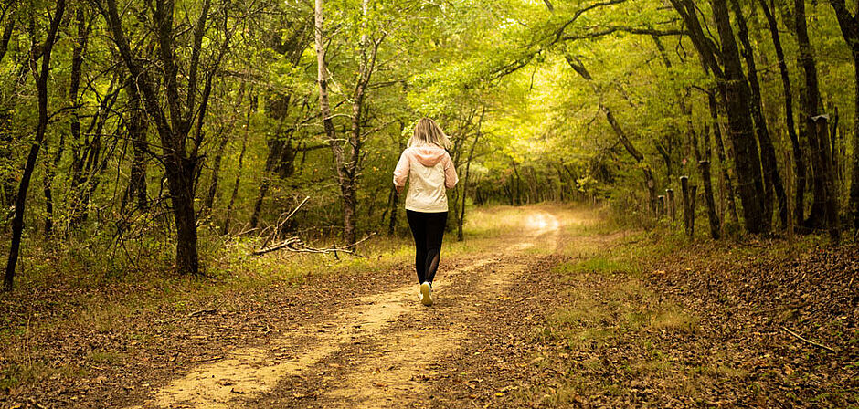 Les forêts départementales sont appréciées pour les espaces loisirs qu'elles offrent