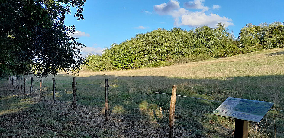 Sentier pédagogique de Labéjan - Agrandir l'image (fenêtre modale)