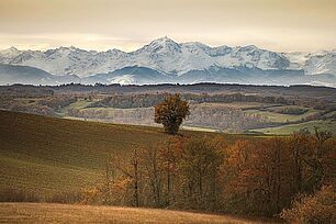 Photo 6 : (@robertoprovence) Photographe : Roberto - Agrandir l'image (fenêtre modale)