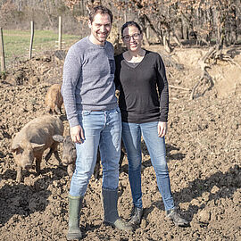Maxime et Mathilde Rey ont fait le pari gagnat d'un élevage de porc laineux dans le Gers - Agrandir l'image (fenêtre modale)