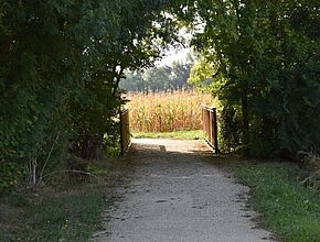 Tronçon Valence sur Baïse - Flaran - Agrandir l'image (fenêtre modale)