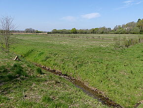 Agrandir l'image (fenêtre modale)