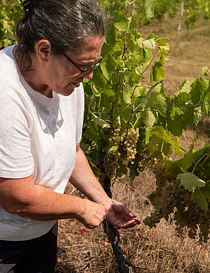 Hélène Archidec, vigneronne et oenologue bichonne les vignes du domaine